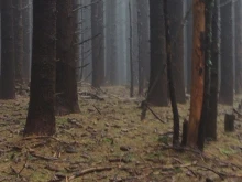 ПСС с важно напомняне при излет в планината!