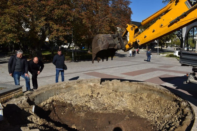 Решиха какво коледно дърво да бъде поставено в Разград