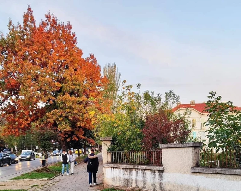 Богата на култура е седмицата в Кюстендил