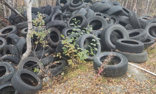 Започват масови проверки във Варна