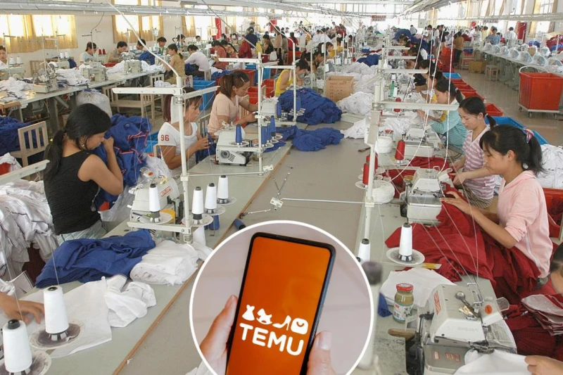 Започна разследване срещу "Тему"