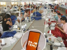 Започна разследване срещу "Тему"
