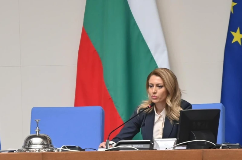 Много е вероятно Рая Назарян отново да бъде предложението на ГЕРБ за председател на НС