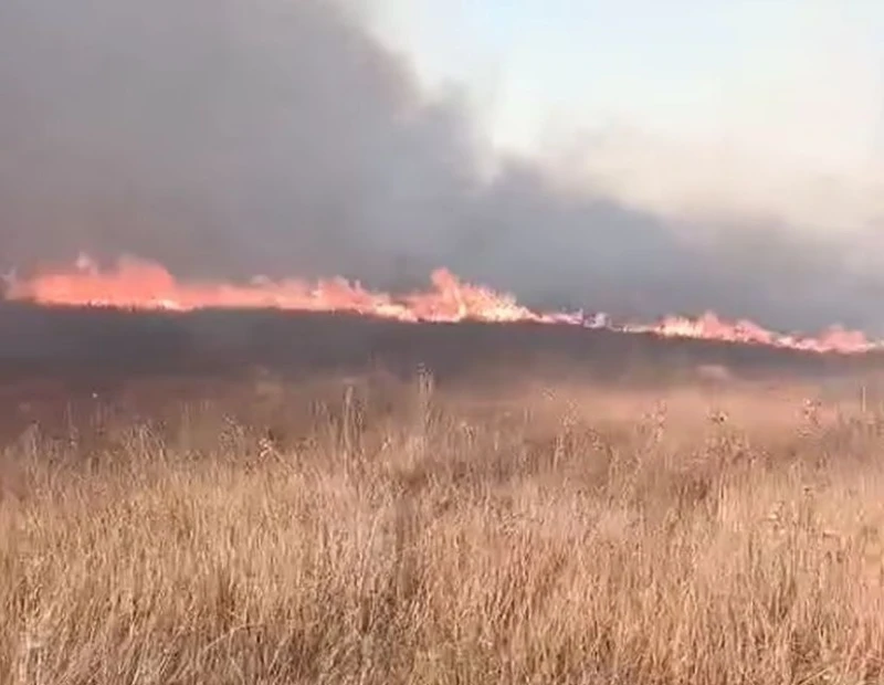 Пожар пламна в защитена местност край Божурище