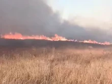 Пожар пламна в защитена местност край Божурище