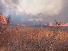 Пожарът в Защитена местност "Теснолист божур": Изгорели са около 14 хектара, наблюдението е преустановено