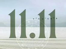  11     4 