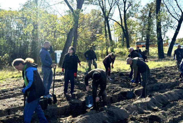 "Новата гора на София": 3750 фиданки са засадени от началото на есенния залесителен сезон