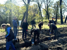 "Новата гора на София": 3750 фиданки са засадени от началото на есенния залесителен сезон