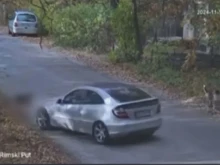 ��������� ��� ������� ����: ��� �� ������� �������� � ������ ��