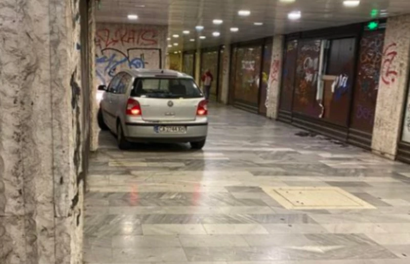 �� ����� ������� ���� ���������� ����: ���� ������� � �������� ������