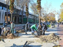 Кметът на Варна: Възстановяваме зеления облик на Варна