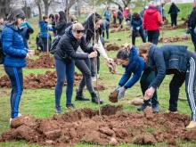 Стартира инициативата "Зелена Враца" 