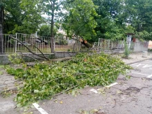 На сигнали за паднали от силния вятър дървета са реагирали пожарникари от Великотърновско