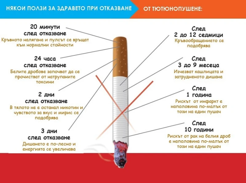 В Смолян измерват нивото на въглероден оксид в Международния ден без тютюнопушене