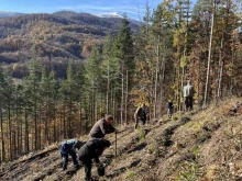 Започна есенно залесяване в Чипровско