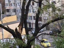 Пловдивчанин сигнализира за опасност
