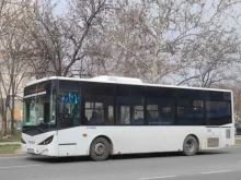 Мнение: Пловдив е страхотен град, но градският транспорт не става