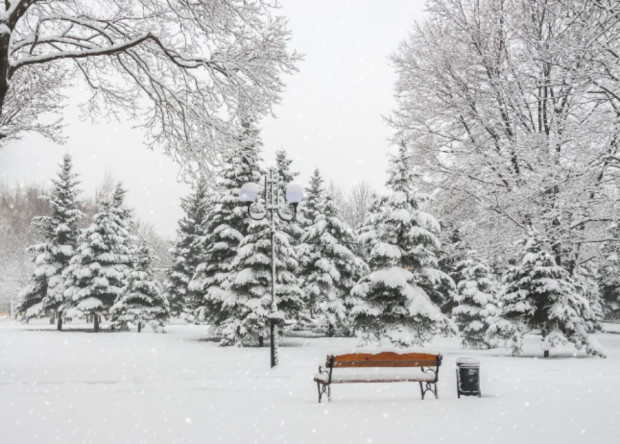 От Meteo Balkans публикуваха прогноза за предсточщият зимен сезон С