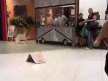 ���������� ���������� � ��� - ����� ������ ����� ����������� ������ �� ������� �� ������ �� �������������
