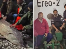 ���������� ���� �� ��������� ������