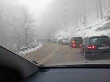 Паднало дърво блокира движението в Петроханския проход