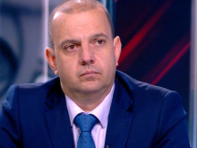 Директорът на БАБХ: Грешна диагноза е забавила лечението на овцете