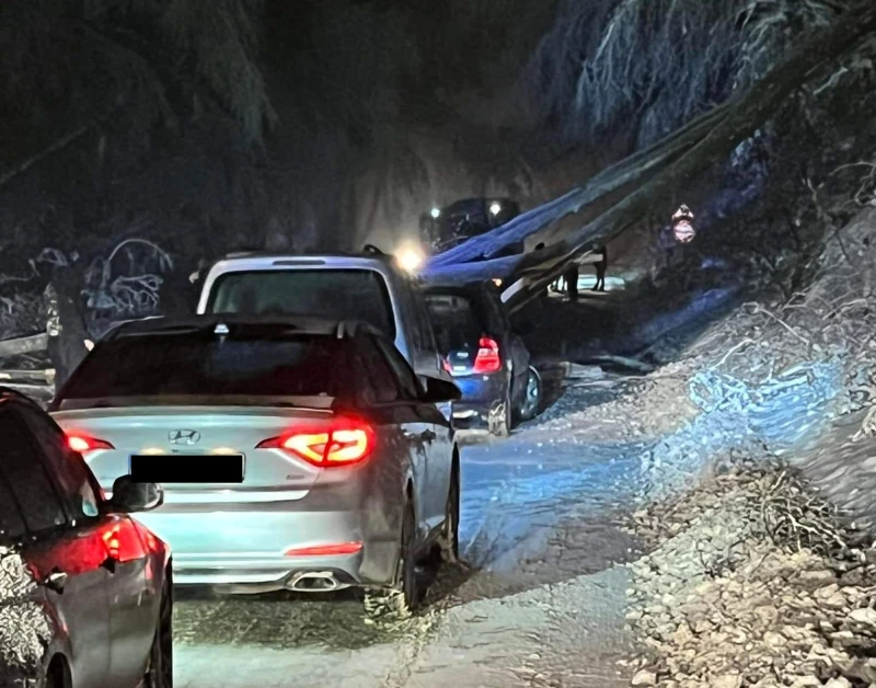 �������� � "��������" ����������: ���� ������� ������� �������� ����������