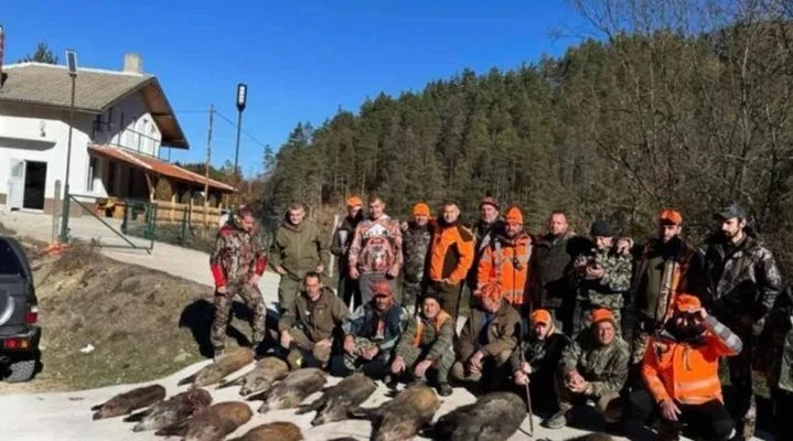 Ловно чудо в Родопите, гръмнаха 13 глигана