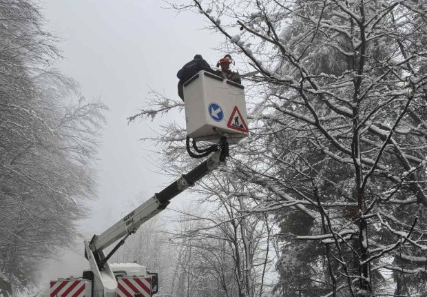 Северозападно държавно предприятие и служители на ДГС Берковица продължават с