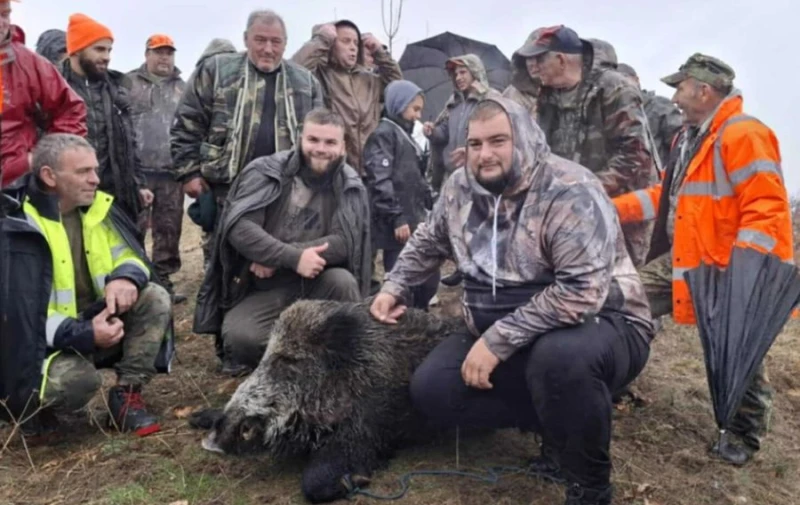 Ловци гръмнаха 300-килограмов звяр в Западните Родопи