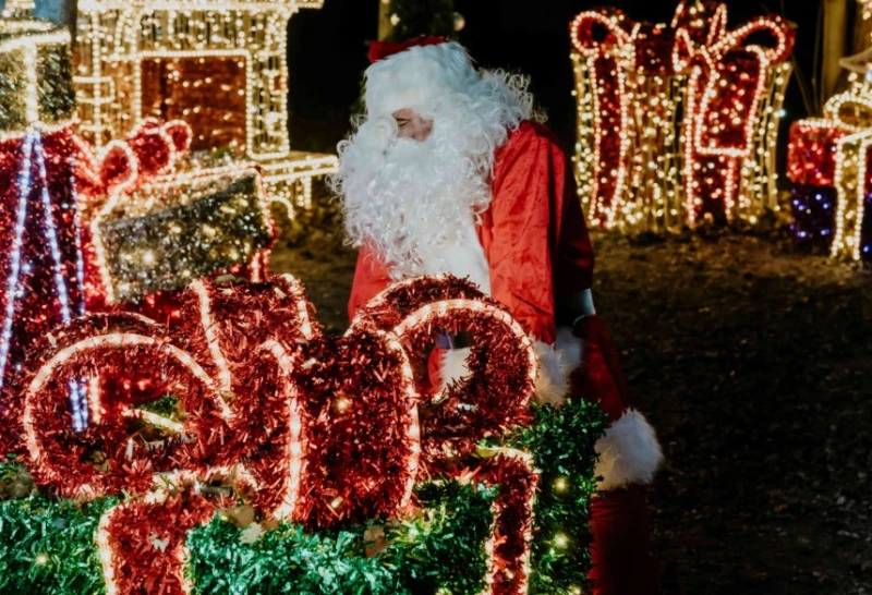 ���� ������ �������� ���������� Lumina Park