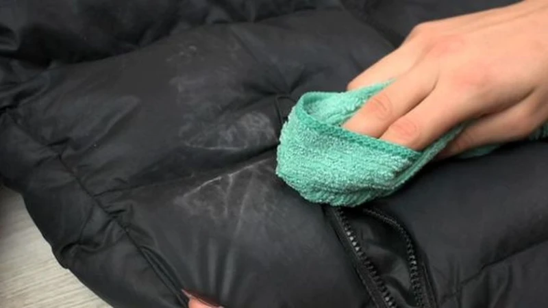 �������� 5 ������ �� ���� ����� ����, � ����� �� ��������� ������� �� ���