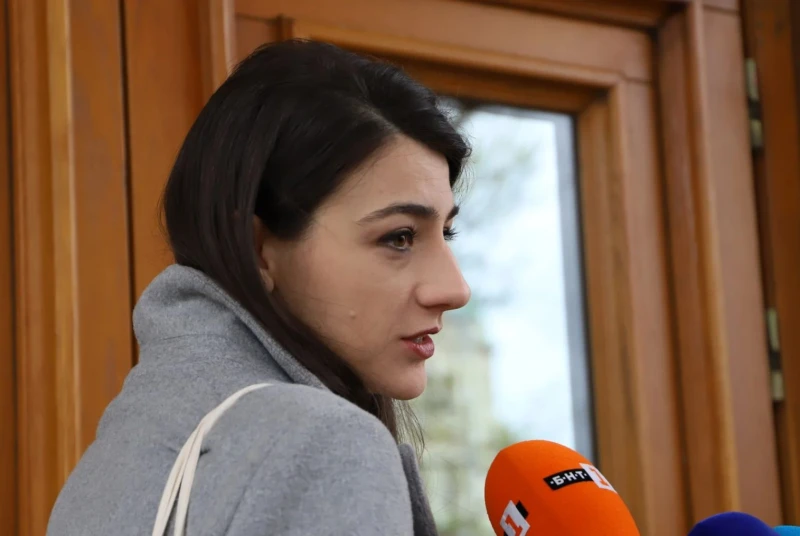 Това ли е причината за искания имунитет на Лена Бориславова?