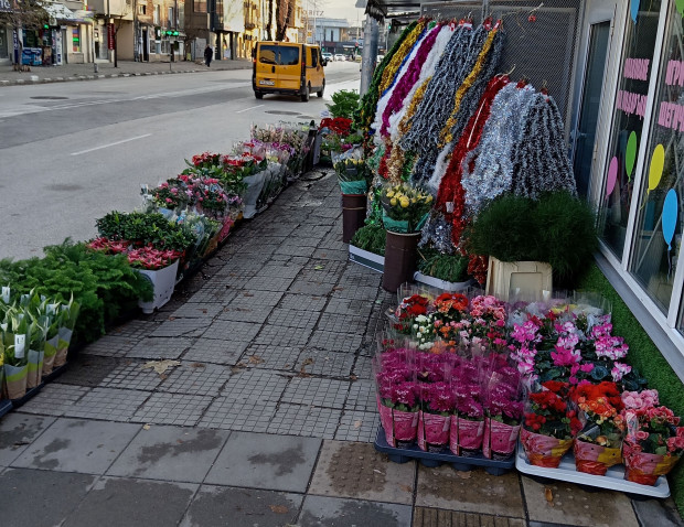 TD Недоволна пловдивчанка потърси редакцията на Plovdiv24 bg за да