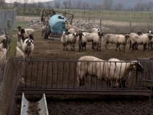 Радикални мерки в Сливен заради заразата