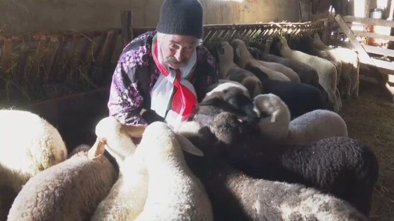 Лабораторията във Франция потвърди наличието на чума по животните във Велинград