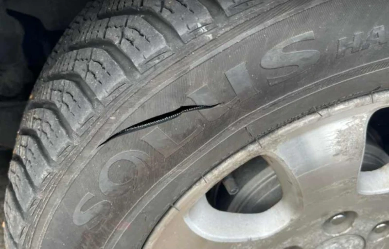 ����� ���� �� ������� � �������� �������