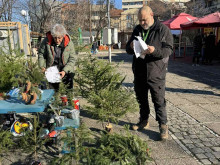 Провериха тържищата за коледни елхи в Кюстендил