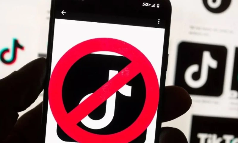 След смъртта на ученик: Албания блокира временно TikTok