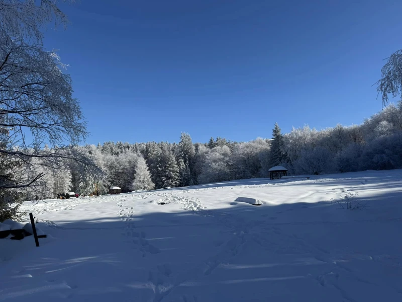 ������� �� ������� �� �������� �������