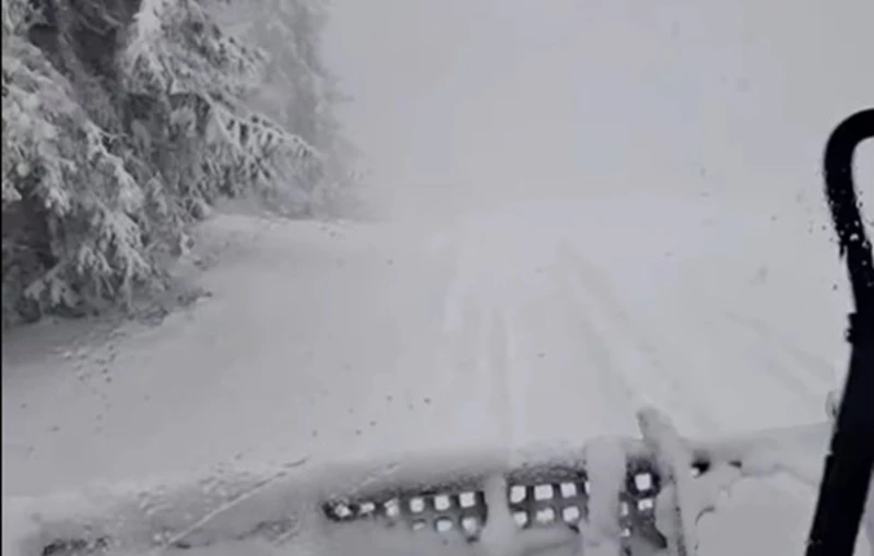 ���� �� ������:������� ���� ������� �� ���� � ��������