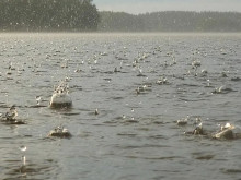 Язовирите край Варна започнаха да се пълнят