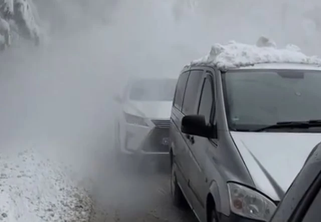Вижте как бор се стовари насред колона от автомобили
