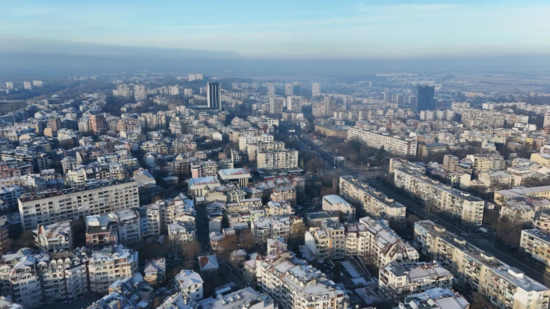 Пловдивчанка: Не се спряхте! Освен домашни любимци има и бебета!