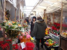 Настъпи астрономическата пролет