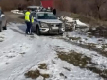 Мъж намери пред къщата си разстреляна бременна сърна