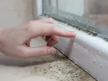 ��� ����� ������� �� ���������� �� �������� �� ����������