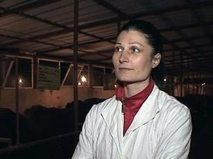 Фермер: Годината бе кървава, имаше масови кланета на животни и принудителен износ
