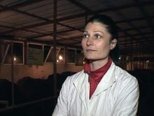 Фермер: Годината бе кървава, имаше масови кланета на животни и принудителен износ